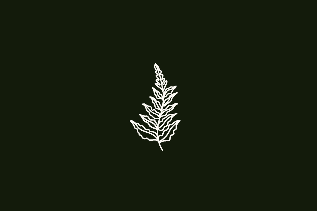 Leaf animation